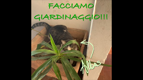Facciamo giardinaggio? Facciamo giardinaggio?